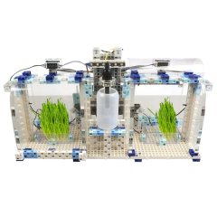 Академия Наураши «Умная теплица»